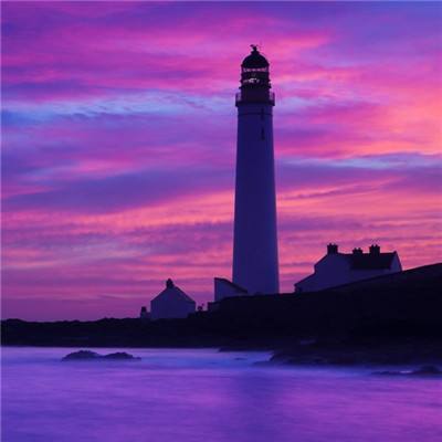 助赢软件app手机app下载