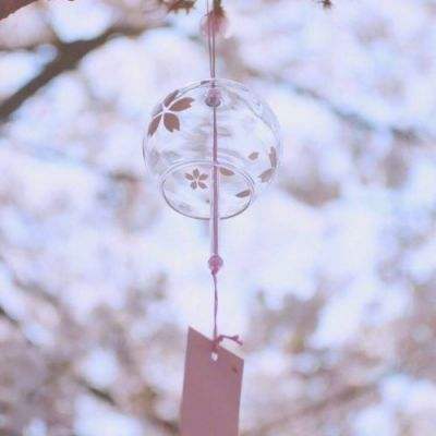 2023澳门资料大全正版手机app下载