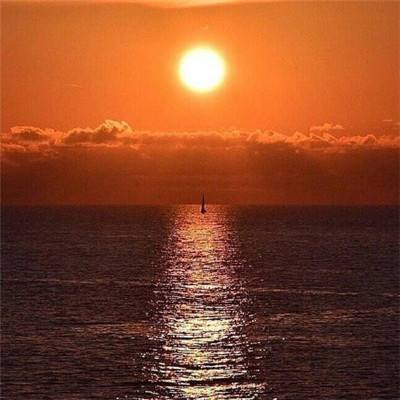 亚新手机版官方登录网站